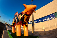 20120115ME5601NML0087